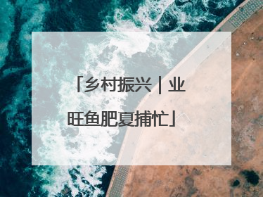 乡村振兴｜业旺鱼肥夏捕忙
