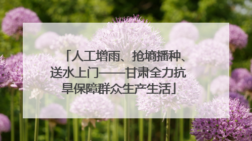 人工增雨、抢墒播种、送水上门——甘肃全力抗旱保障群众生产生活