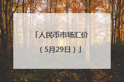 人民币市场汇价（5月29日）