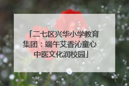二七区兴华小学教育集团：端午艾香沁童心 中医文化润校园