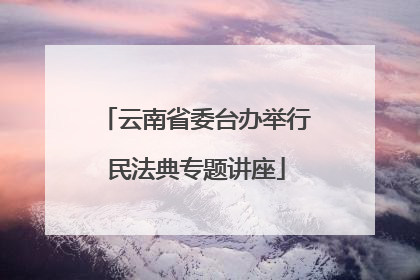 云南省委台办举行民法典专题讲座