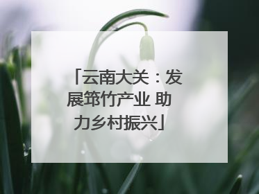 云南大关：发展筇竹产业 助力乡村振兴