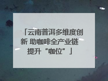 云南普洱多维度创新 助咖啡全产业链提升“咖位”