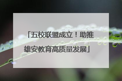 五校联盟成立！助推雄安教育高质量发展