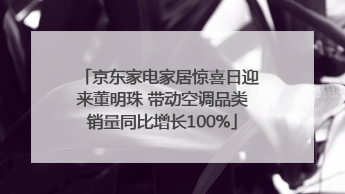 京东家电家居惊喜日迎来董明珠 带动空调品类销量同比增长100%