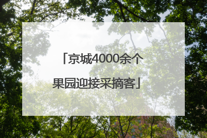 京城4000余个果园迎接采摘客