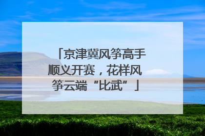 京津冀风筝高手顺义开赛，花样风筝云端“比武”