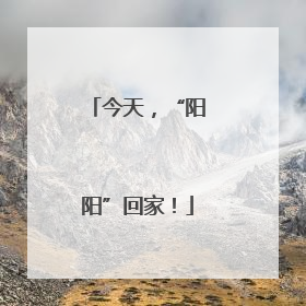 今天，“阳阳”回家！