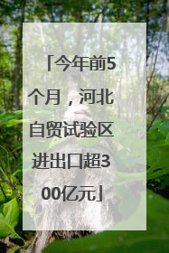 今年前5个月，河北自贸试验区进出口超300亿元