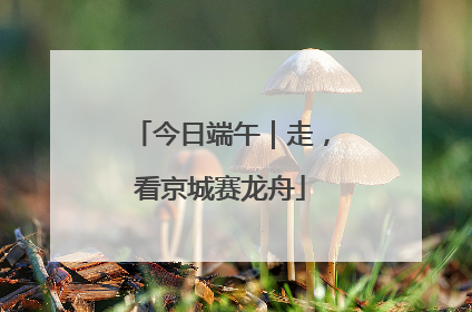 今日端午｜走，看京城赛龙舟