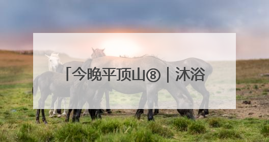 今晚平顶山⑧｜沐浴习习晚风 品味视听盛宴 白龟湖畔·草坪音乐会激情上演