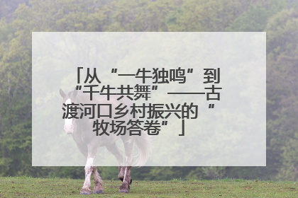 从“一牛独鸣”到“千牛共舞”——古渡河口乡村振兴的“牧场答卷”