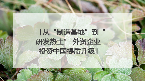 从“制造基地”到“研发热土” 外资企业投资中国提质升级