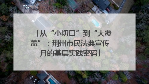 从“小切口”到“大覆盖”：荆州市民法典宣传月的基层实践密码
