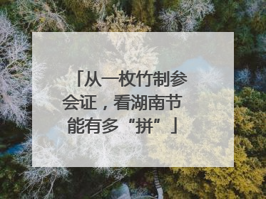 从一枚竹制参会证，看湖南节能有多“拼”
