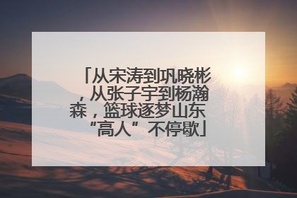 从宋涛到巩晓彬，从张子宇到杨瀚森，篮球逐梦山东“高人”不停歇