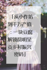 从小作坊到千万产值：一块豆腐解锁昆明呈贡乡村振兴密码