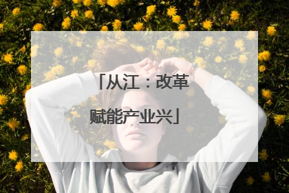 从江：改革赋能产业兴