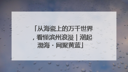 从海瓷上的万千世界，看懂滨州浪漫｜潮起渤海・网聚黄蓝