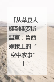 从莘县大棚到俄罗斯温室：鲁西嫁接工的“空中农事”