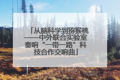从脑科学到猕猴桃——中外联合实验室奏响“一带一路”科技合作交响曲