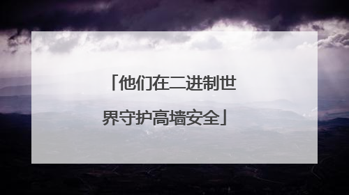 他们在二进制世界守护高墙安全