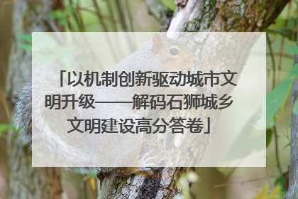 以机制创新驱动城市文明升级——解码石狮城乡文明建设高分答卷