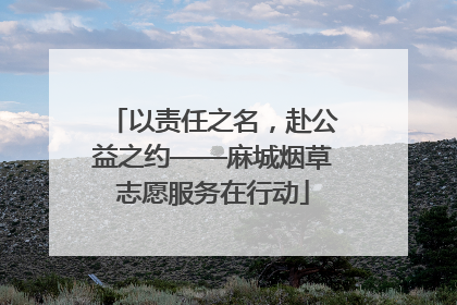 以责任之名，赴公益之约——麻城烟草志愿服务在行动