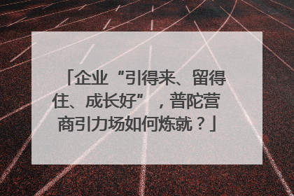 企业“引得来、留得住、成长好”，普陀营商引力场如何炼就？