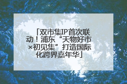 双市集IP首次联动！浦东“天物好市×初见集”打造国际化跨界嘉年华