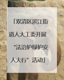 双清区滨江街道人大工委开展“法治护绿护安人大行”活动