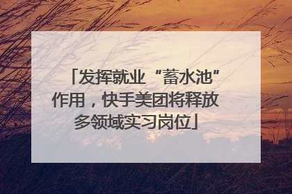 发挥就业“蓄水池”作用，快手美团将释放多领域实习岗位