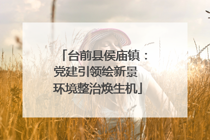 台前县侯庙镇：党建引领绘新景 环境整治焕生机