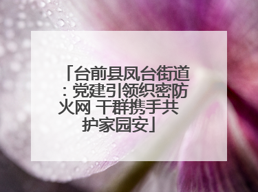 台前县凤台街道：党建引领织密防火网 干群携手共护家园安