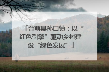 台前县孙口镇：以“红色引擎”驱动乡村建设“绿色发展”
