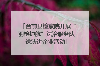 台前县检察院开展“羽检护航”法治服务队送法进企业活动