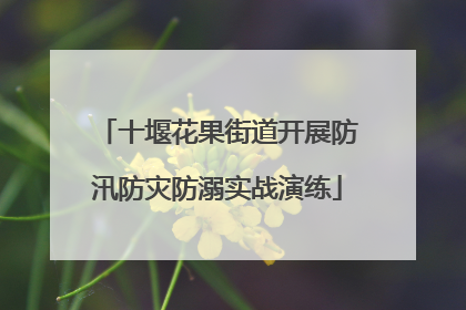 十堰花果街道开展防汛防灾防溺实战演练