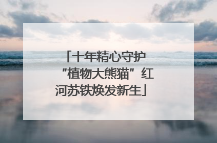 十年精心守护 “植物大熊猫”红河苏铁焕发新生