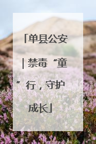 单县公安｜禁毒“童”行，守护成长