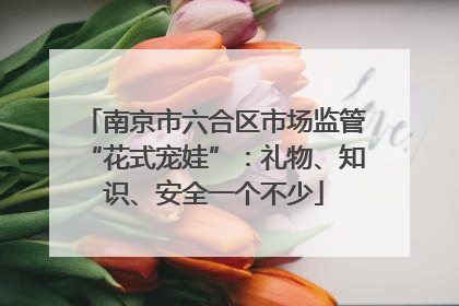 南京市六合区市场监管“花式宠娃”：礼物、知识、安全一个不少
