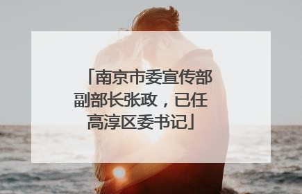 南京市委宣传部副部长张政，已任高淳区委书记