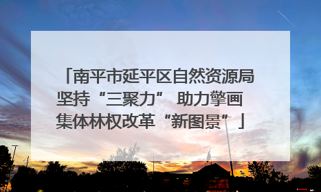 南平市延平区自然资源局坚持“三聚力” 助力擎画集体林权改革“新图景”