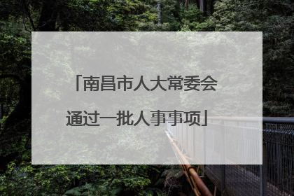 南昌市人大常委会通过一批人事事项