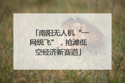 南阳无人机“一网统飞”，抢滩低空经济新赛道