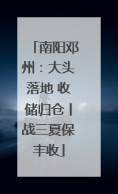 南阳邓州：大头落地 收储归仓丨战三夏保丰收