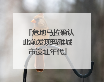 危地马拉确认此前发现玛雅城市遗址年代