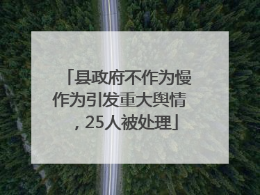 县政府不作为慢作为引发重大舆情，25人被处理