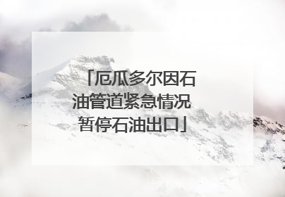 厄瓜多尔因石油管道紧急情况暂停石油出口