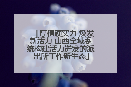 厚植硬实力 焕发新活力 山西全域系统构建活力迸发的派出所工作新生态