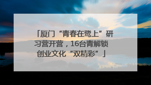 厦门“青春在鹭上”研习营开营，16台青解锁创业文化“双精彩”